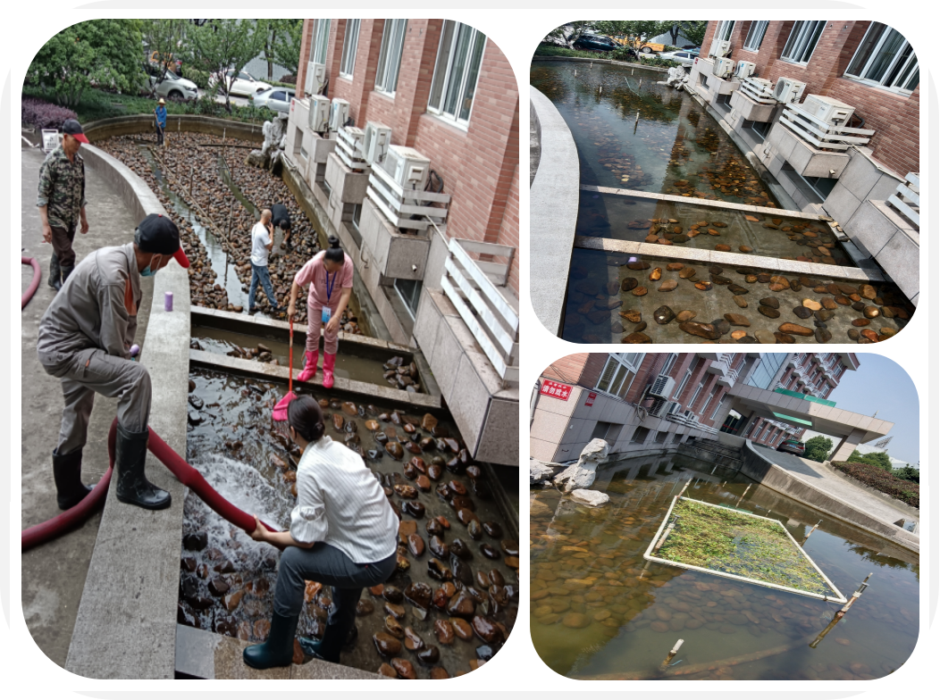 煥然一新，園區(qū)景觀池迎來“大洗之日”