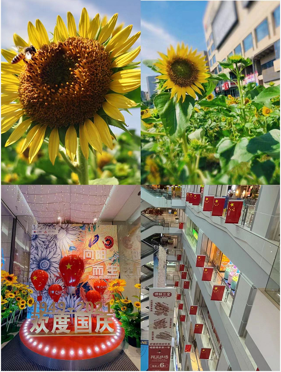 盛世華誕，水晶城喜迎國慶