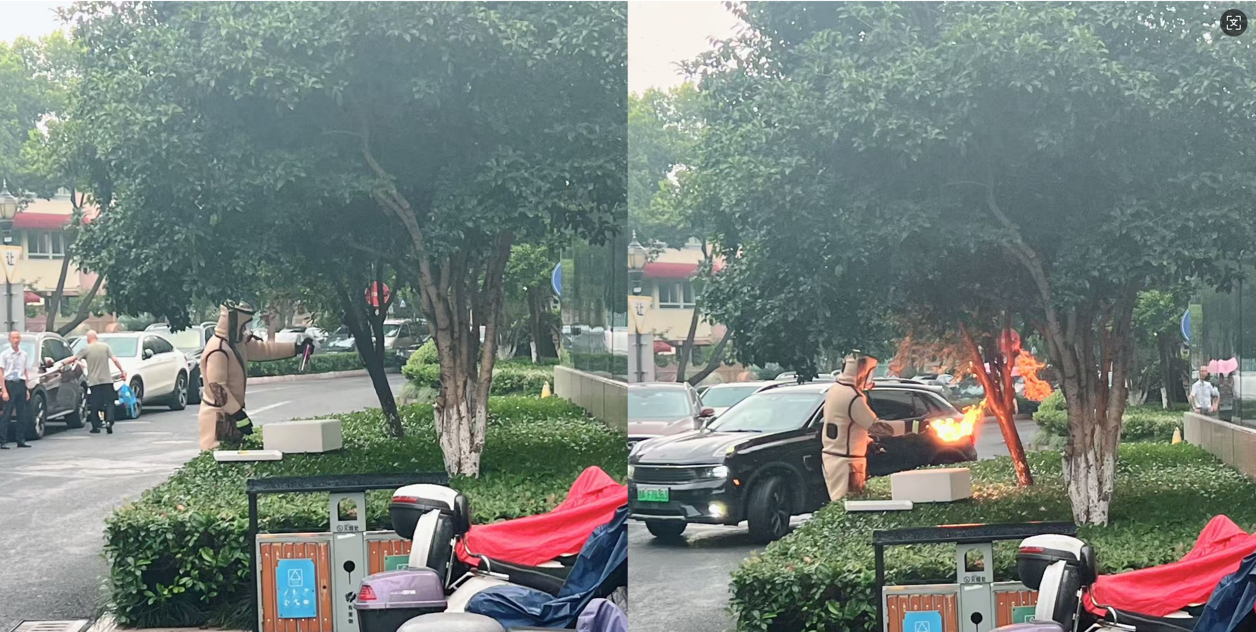 安全守護零距離，水晶城快速處置外圍蜂群隱患