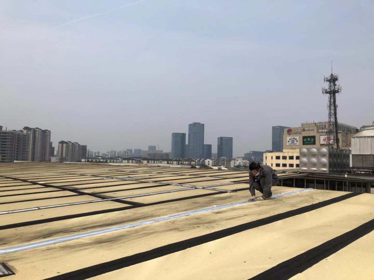 圖片1.jpg 圖片1.jpg