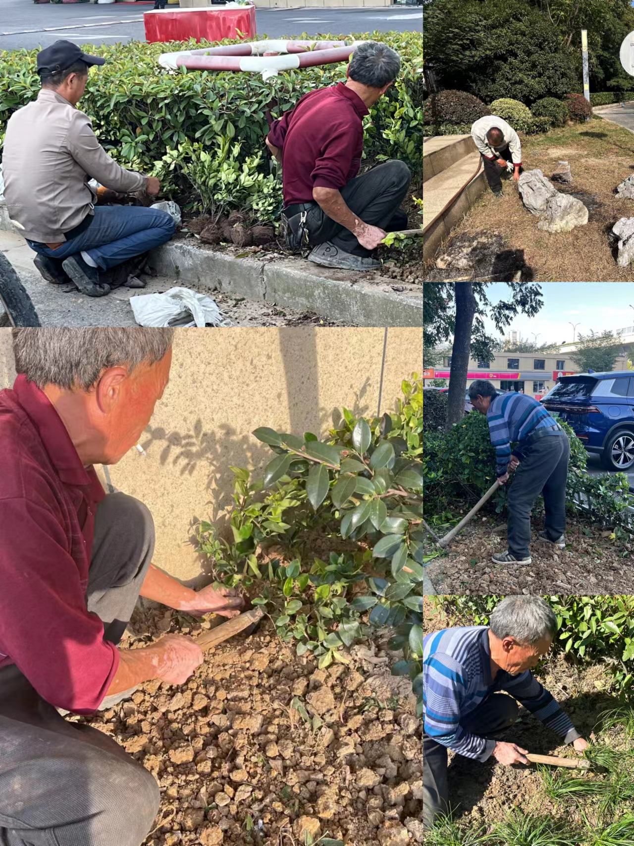 圖片1.png 圖片1.png