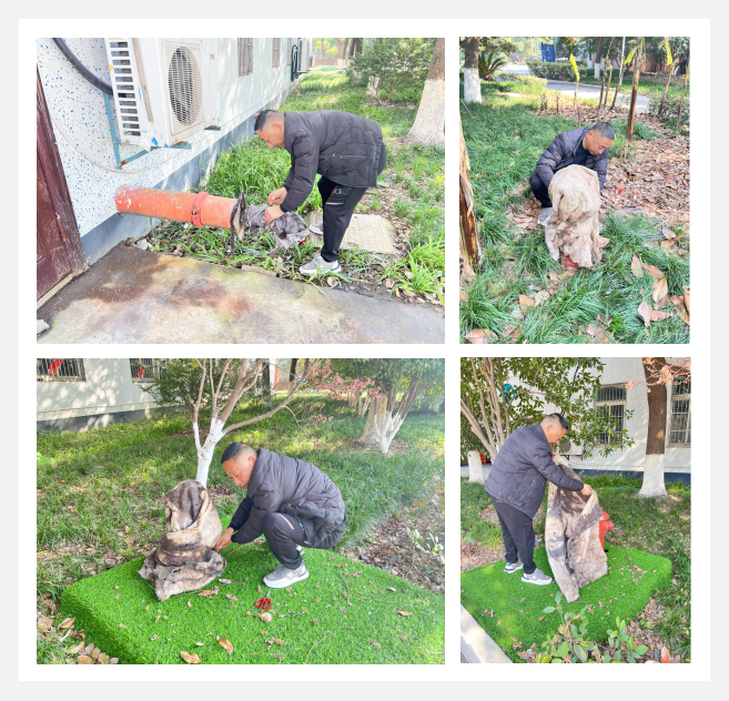 圖片1.png 圖片1.png