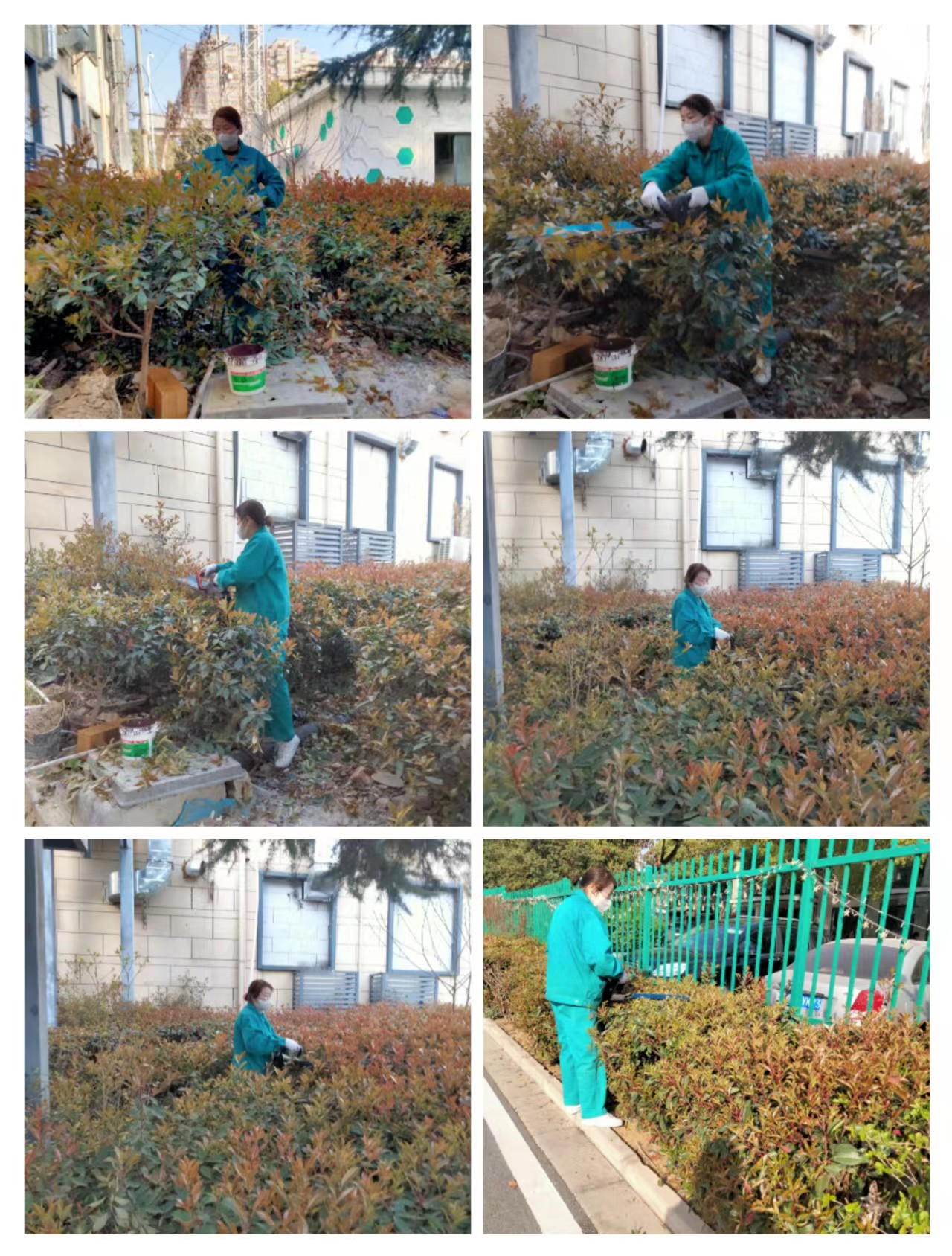 圖片2.png 圖片2.png